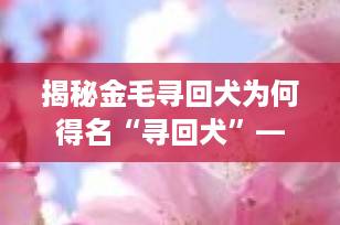 揭秘金毛寻回犬为何得名“寻回犬”——探索其独特历史与技能