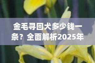 金毛寻回犬多少钱一条？全面解析2025年市场行情