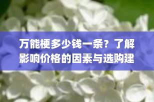 万能梗多少钱一条？了解影响价格的因素与选购建议