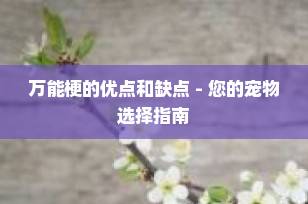 万能梗的优点和缺点 - 您的宠物选择指南