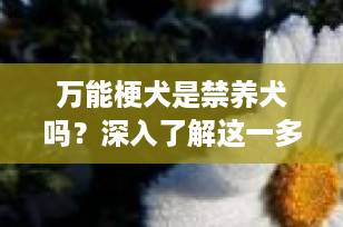 万能梗犬是禁养犬吗？深入了解这一多功能犬种