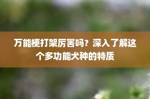 万能梗打架厉害吗？深入了解这个多功能犬种的特质