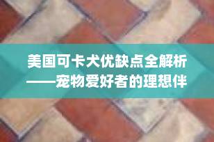 美国可卡犬优缺点全解析——宠物爱好者的理想伴侣