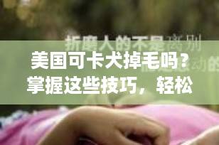 美国可卡犬掉毛吗？掌握这些技巧，轻松应对掉毛问题！