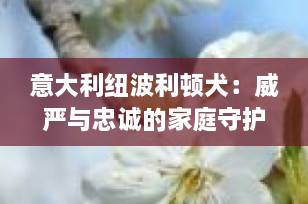 意大利纽波利顿犬：威严与忠诚的家庭守护者