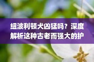纽波利顿犬凶猛吗？深度解析这种古老而强大的护卫犬