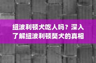 纽波利顿犬吃人吗？深入了解纽波利顿獒犬的真相
