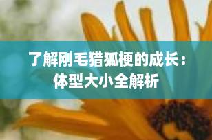 了解刚毛猎狐梗的成长：体型大小全解析