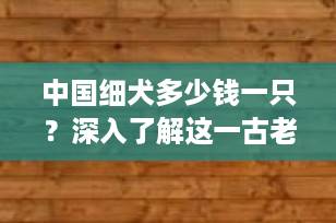 中国细犬多少钱一只？深入了解这一古老猎犬的价格与价值