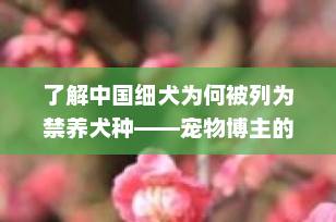 了解中国细犬为何被列为禁养犬种——宠物博主的专业解析