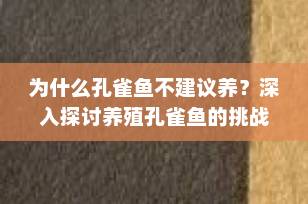 为什么孔雀鱼不建议养？深入探讨养殖孔雀鱼的挑战与考量