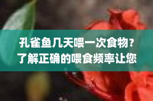 孔雀鱼几天喂一次食物？了解正确的喂食频率让您的宠物健康成长