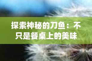 探索神秘的刀鱼：不只是餐桌上的美味