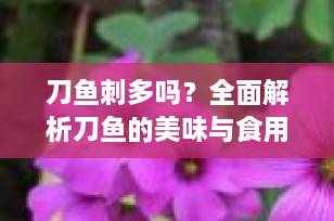 刀鱼刺多吗？全面解析刀鱼的美味与食用技巧