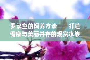 罗汉鱼的饲养方法——打造健康与美丽并存的观赏水族箱