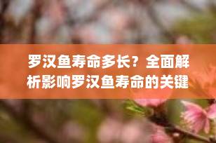 罗汉鱼寿命多长？全面解析影响罗汉鱼寿命的关键因素