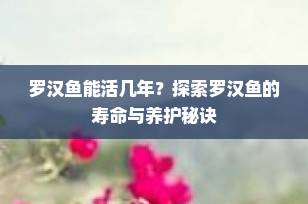 罗汉鱼能活几年？探索罗汉鱼的寿命与养护秘诀