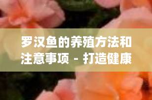 罗汉鱼的养殖方法和注意事项 - 打造健康美丽的观赏鱼缸
