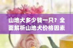 山地犬多少钱一只？全面解析山地犬价格因素与购买指南