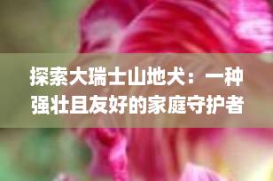 探索大瑞士山地犬：一种强壮且友好的家庭守护者