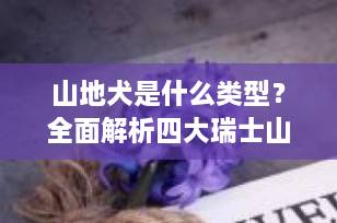 山地犬是什么类型？全面解析四大瑞士山地犬品种