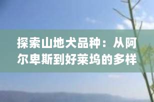 探索山地犬品种：从阿尔卑斯到好莱坞的多样魅力