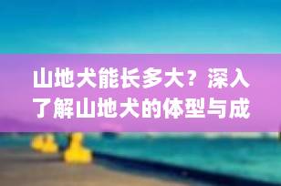 山地犬能长多大？深入了解山地犬的体型与成长潜力