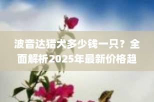波音达猎犬多少钱一只？全面解析2025年最新价格趋势