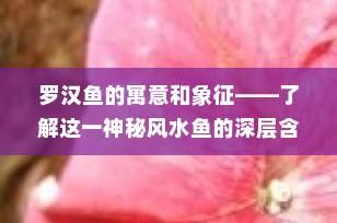 罗汉鱼的寓意和象征——了解这一神秘风水鱼的深层含义