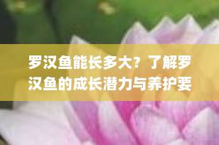 罗汉鱼能长多大？了解罗汉鱼的成长潜力与养护要点