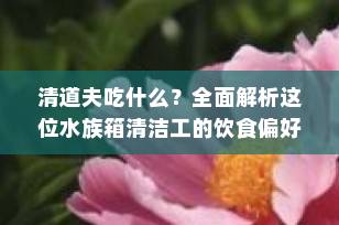 清道夫吃什么？全面解析这位水族箱清洁工的饮食偏好