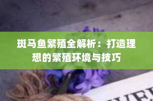 斑马鱼繁殖全解析：打造理想的繁殖环境与技巧