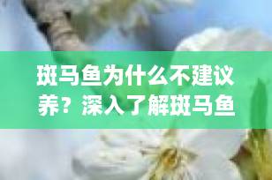 斑马鱼为什么不建议养？深入了解斑马鱼饲养的挑战