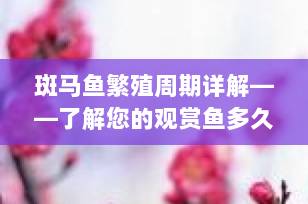斑马鱼繁殖周期详解——了解您的观赏鱼多久繁殖一次