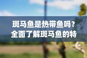 斑马鱼是热带鱼吗？全面了解斑马鱼的特性和饲养指南