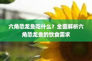 六角恐龙鱼吃什么？全面解析六角恐龙鱼的饮食需求