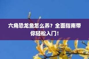 六角恐龙鱼怎么养？全面指南带你轻松入门！