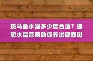 斑马鱼水温多少度合适？理想水温范围助你养出健康斑马鱼