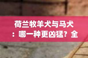 荷兰牧羊犬与马犬：哪一种更凶猛？全面解析两犬种特性