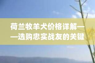 荷兰牧羊犬价格详解——选购忠实战友的关键因素