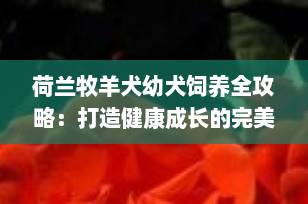 荷兰牧羊犬幼犬饲养全攻略：打造健康成长的完美起点