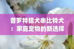 普罗特猎犬串比特犬：家庭宠物的新选择