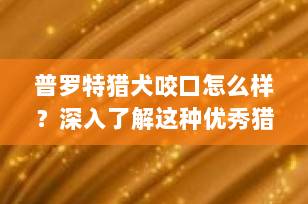 普罗特猎犬咬口怎么样？深入了解这种优秀猎犬的咬合力与特性