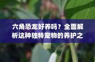 六角恐龙好养吗？全面解析这种独特宠物的养护之道