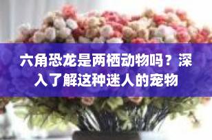 六角恐龙是两栖动物吗？深入了解这种迷人的宠物