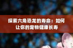 探索六角恐龙的寿命：如何让你的宠物健康长寿