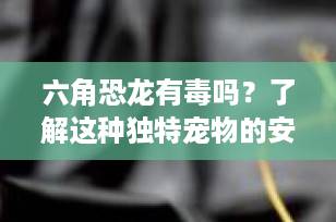 六角恐龙有毒吗？了解这种独特宠物的安全性与养护要点