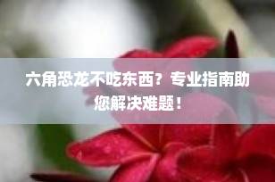 六角恐龙不吃东西？专业指南助您解决难题！