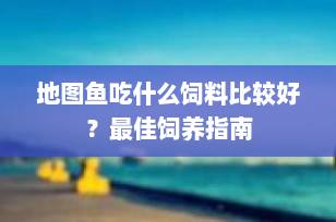 地图鱼吃什么饲料比较好？最佳饲养指南