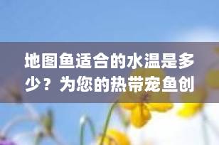 地图鱼适合的水温是多少？为您的热带宠鱼创造最佳生活环境